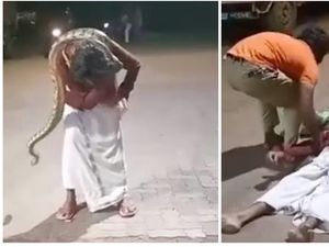 Viral Video Pria Mabuk Nyaris Tewas Dicekik Ular Piton Saat Selfie
