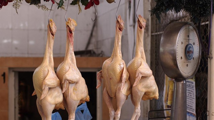 Wanita Cantik Ini Tak Gengsi Jualan Daging Ayam Potong di Pasar