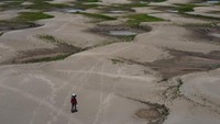 Dilansir dari Reuters, kekeringan parah ini telah melanda 60 dari 62 kota di negara bagian Amazonas akibat fenomena cuaca El Nino, membuat volume curah hujan di bawah rata-rata.  