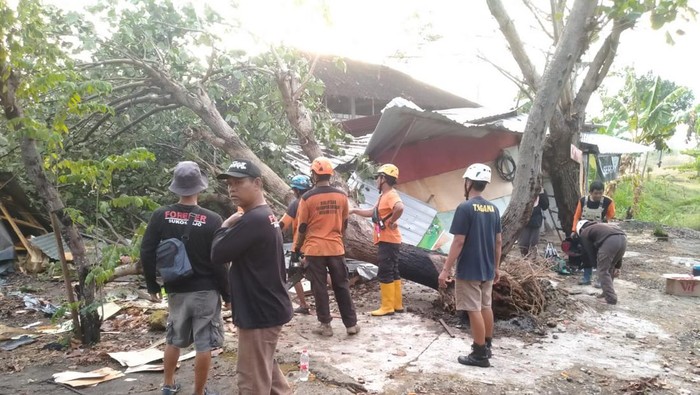 Bangunan rusak tertimpa pohon tumbang di Sukoharjo, Kamis (26/10/2023).