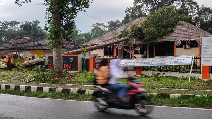 Bencana angin kencang di Pandeglang Kondisi rumah yang rusak akibat tertimpa pohon di kompleks Karang Indah, Pandeglang, Banten, Kamis (26/10/2023). Angin kencang disertai hujan deras yang terjadi di kawasan tersebut mengakibatkan belasan rumah serta gedung perkantoran mengalami kerusakan dan menyebabkan satu orang warga meninggal dunia akibat tertimpa pohon. ANTARA FOTO/Muhammad Bagus Khoirunas/tom.