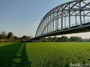 Sungai Bengawan Solo di Bojonegoro Dipenuhi Eceng Gondok