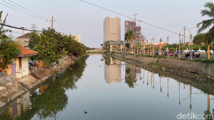 Eceng gondok yang penuhi sungai di Jalan Kalisari Damen, Kalisari, Mulyorejo sudah mulai berkurang.