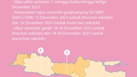 Foto: Infografis (M Fakhry/detikcom)