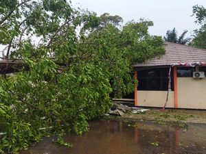 Pohon Tumbang Timpa Kantor Kecamatan Karang Tanjung Pandeglang