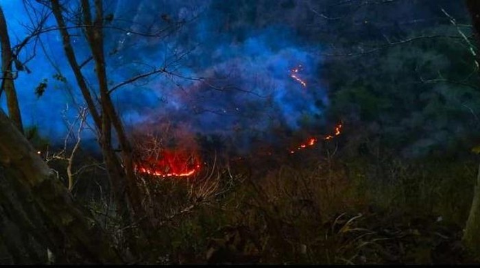 Kebakaran sempat melanda perbukitan menoreh di wilayah Kalibawang, Kabupaten Kulon Progo, Daerah Istimewa Yogyakarta (DIY), Kamis (26/10/2023). Api berhasil padam setelah 4 jam.