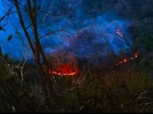 Bukit Menoreh Kalibawang Kulon Progo Terbakar Lagi, Diduga Ini Sebabnya
