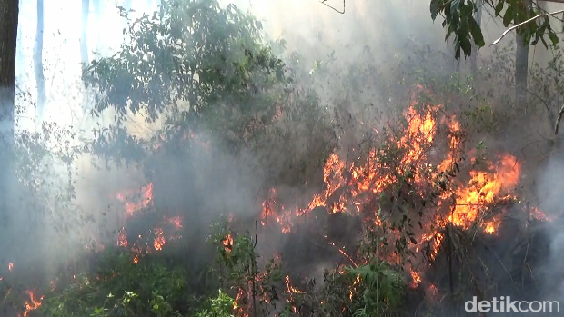 Kebakaran hutan di kaki Gunung Semeru.