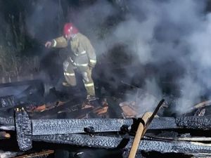 Api Lalap Kandang Ternak di Ciamis, Seribuan Ayam Mati Terpanggang