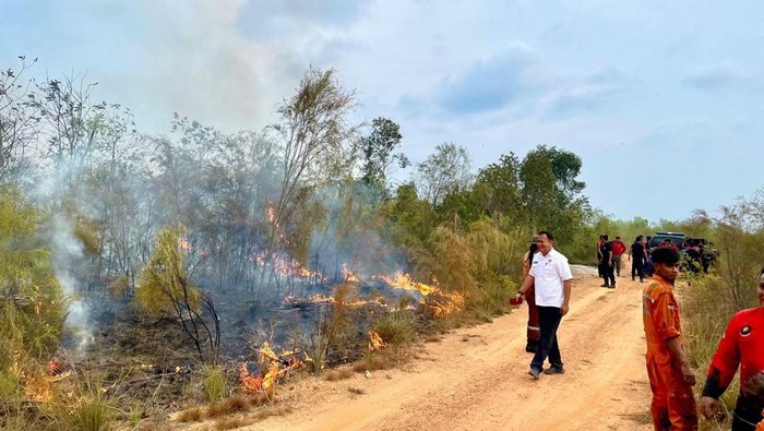 Kondisi lahan gambut yang terbakar di Kabupaten Bangka, Bangka Belitung.