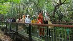 5 Surga Mangrove di Jakarta Cocok buat Melarikan Diri dari Polusi