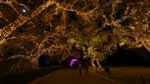 Menyusuri Negeri Ajaib Halloween di California, Berani?