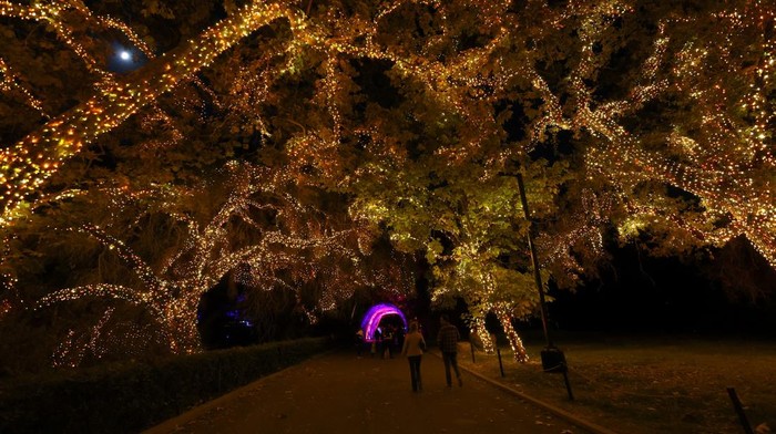 Visitors walk through Nights of the Jack, an immersive Halloween experience, at the King Gillette Ranch in Calabasas, California, U.S., October 23, 2023. REUTERS/Mario Anzuoni