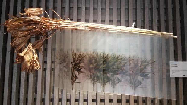 Murai Art Projects