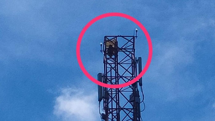 NA (65) nekat memanjat tower setinggi 72 meter di Aceh Timur. (Dok. Polres Aceh Timur)