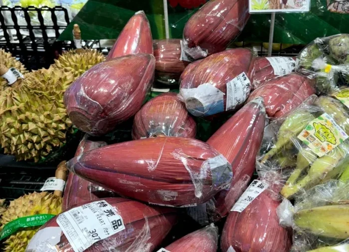 Pertama Kalinya Masak Jantung Pisang, Orang Jepang Ini Langsung Ketagihan