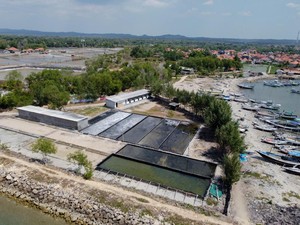 Ini Cara Pertamina Hulu Energi WMO Perkuat Ekonomi Masyarakat Bayusangka