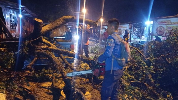 Pohon tumbang di Jalan Sukasari, Kota Bogor, Jawa Barat.