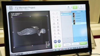 Tampaknya ini merupakan percampuran dari setidaknya tiga spesies berbeda secara eksternal, kata Joseph Cress, seorang ahli radiologi di Northern Kentucky University. Foto: Norse Media via Pen News