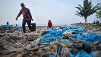 Sampah plastik bekas pembungkus ikan tersebut berserakan dan bertumpuk di sekitaran pantai.  