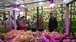Wapres Maruf Amin Buka ISEF 2023