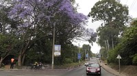 Dalam kategori kota terbaik untuk didatangi, kota yang paling direkomendasikan adalah ibu kota Kenya, Nairobi. AP Photo/Sayyid Abdul Azim