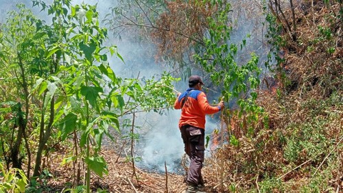 BPBD Kabupaten Karangasem bersama instansi terkait lainnya melakukan pemadaman kebakaran hutan lindung di lereng Gunung Agung, Kamis (26/10/2023). (Foto: Dok. BPBD Karangasem)
