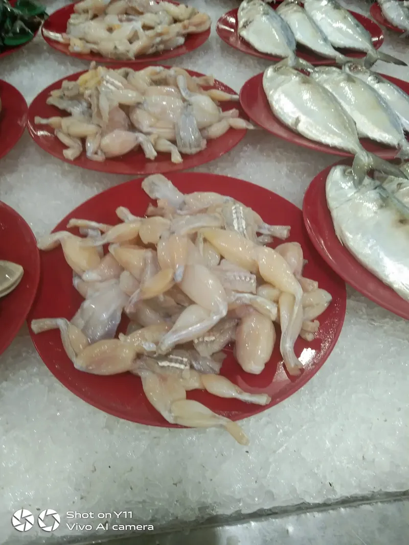 Daging katak di supermarket