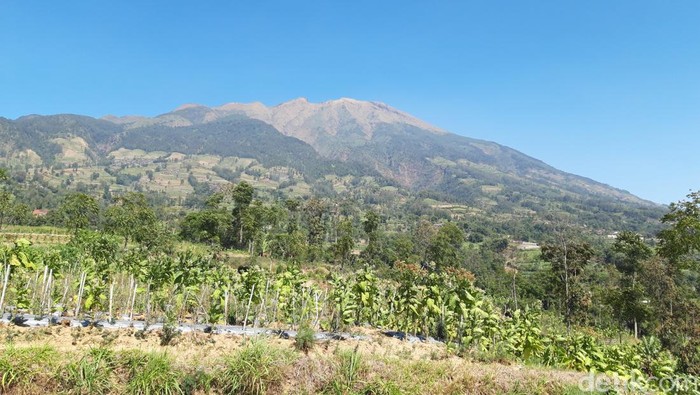 Gunung Merbabu