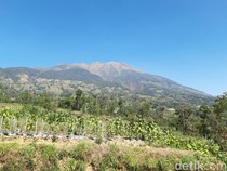 Penjelasan BTNGMb soal Viral Drone Dilarang Terbang di Merbabu: Harus Berizin