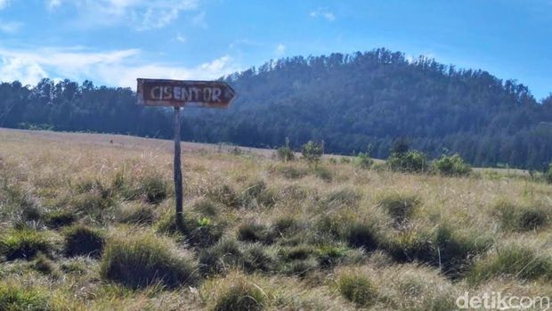 Jalur Pendakian Gunung Argopuro, Sabana Cikasur Jalur Pendakian Gunung Argopuro, Sabana Cikasur