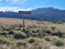Jalur Pendakian Gunung Argopuro Ditutup Sementara Dampak Kebakaran Hutan