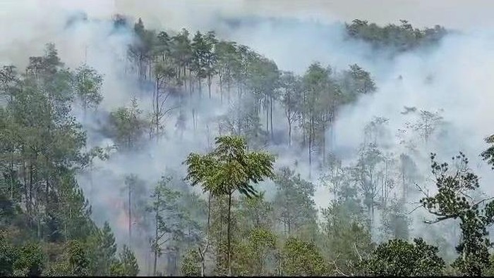 Kondisi hutan Gunung Merbabu wilayah Getasan, Kabupaten Semarang yang terbakar, Jumat (27/10/2023).