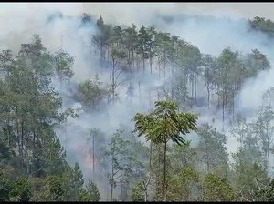 BPBD Jateng Catat Peningkatan Potensi Kebakaran Lahan, Edukasi Digencarkan