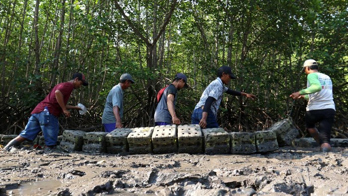 Warga Kelompok Usaha Perhutanan Sosial (KUPS) Tuan Krab menyiapkan jerigen untuk budidaya pembesaran kepiting bakau di Hutan mangrove Teluk Pangpang, Tegaldelimo, Banyuwangi, Jawa Timur, Jumat (27/10/2023). Budi daya pembesaran kepiting bakau dengan metode Battery cell tersebut selain  memberikan dampak ekonomi warga juga bertujuan untuk menjaga ekosistem hutan mangrove Teluk Pangpang di kawasan Taman Nasional Alas Purwo. ANTARA FOTO/Budi Candra Setya/foc.
