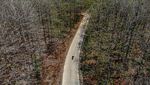 Penampakan Hutan Jati di Bojonegoro Mengering Gegara Kemarau