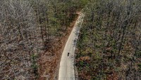 Foto udara pengendara melintasi hutan jati yang mengering di Dander, Bojonegoro, Jawa Timur, Jumat (27/10/2023).