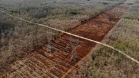Hal ini dikhawatirkan hutan tersebut rawan terjadi kebakaran.   