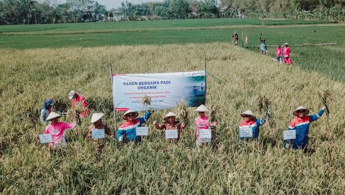 Pertamina EP