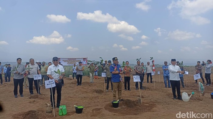 Pj Gubernur Sulsel Bahtiar Baharuddin tanam pisang di Sinjai.