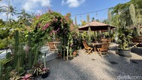 Lokasi Cafe Kebun ini terletak di Jalan Veteran No. 16, Kayubihi, Kecamatan Bangli, Kabupaten Bangli, Bali. Akses menuju ke kafe sangat mudah dijangkau dengan kendaraan roda dua maupun roda empat. Jika traveler berangkat dari Denpasar, jarak tempuhnya sekitar 44 kilometer dengan waktu perjalanan sekitar 1 jam 30 menit.
