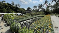 Jika traveler sudah lelah berwisata di Desa Penglipuran dan ingin bersantai sambil bersantap. Cafe Kebun menjadi pilihan yang sip. Wayan Sukur menyebut Cafe Kebun menjadi salah satu destinasi untuk berwisata di sekitar Desa Penglipuran. Terlebih untuk traveler pecinta tanaman. Cafe Kebun adalah surganya para pecinta tanaman. 