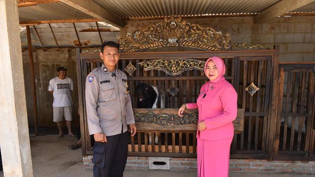 Briptu Revangga Kristyan Dikara, yang bertugas sebagai Bhabinkamtibmas Polsek Bangsri mengembangkan usaha ternak kambing hingga untung jutaan.