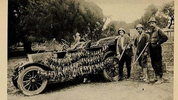 Potret pembantaian burung puyuh di Texas pada tahun 1914. Ini adalah kisah kecerobohan manusia mengganggu keseimbangan alam. Burung puyuh adalah predator alami hama kumbang kapas. Akibat perburuan berlebih terhadap burung puyuh, populasi kumbang bertambah, merusak tanaman kapas dan membuat kerugian USD 25.000.000 per tahun di Amerika. Foto: Ranker