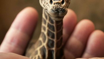 Bayi Jerapah, motif bulunya tampak detail dan realistis. Foto: Boredpanda