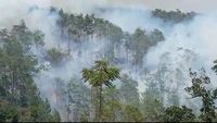 391 Warlok Gunung Merbabu Dievakuasi Akibat Asap Kebakaran