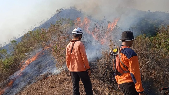 Kebakaran Pegunungan Anjasmoro di Jombang.