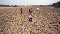Begini penampakan sawah yang mengering di Mauk, Kabupaten Tangerang, Banten, Sabtu (29/10/2023), yang dijadikan area bermain oleh anak-anak.