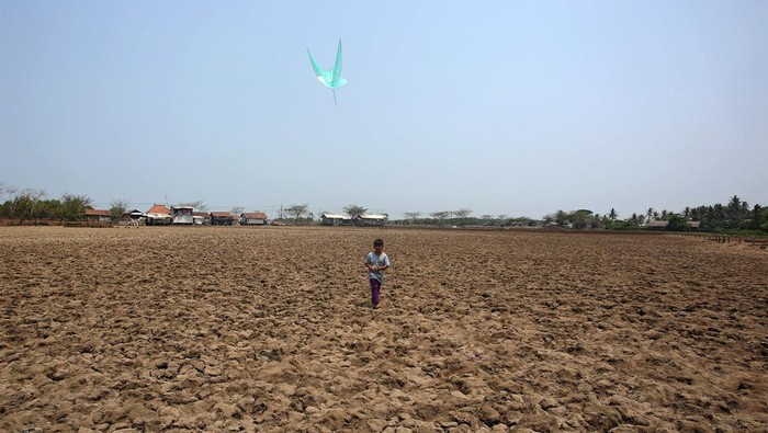 Sejumlah anak bermain di lahan sawah yang mengalami kekeringan di Mauk, Kabupaten Tangerang, Banten, Sabtu (29/10/2023). Menurut pihak kecamatan, dari 10 desa yang ada di Kecamatan Mauk, 4 desa terdampak kekeringan akibat kemaru panjang dampak dari fenomena perubahan iklim. ANTARA FOTO/Muhammad Iqbal/hp.