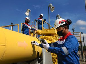 PGN Cetak Laba Rp 3,65 T